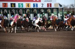 Horse Racing online betting
