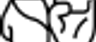 UFC