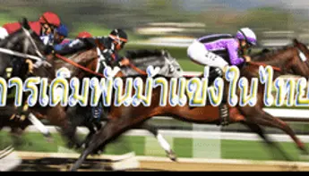 มารู้จักกับการพนันแข่งม้าในประเทศไทย