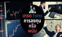 forex betting or investment