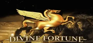 โลโก้ divine fortune