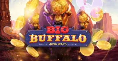 Big Buffalo