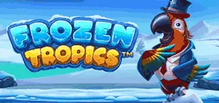 Frozen Tropics