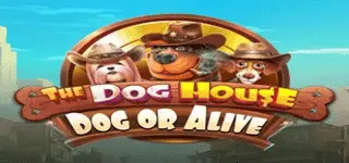 the-dog-house-dog-or-alive